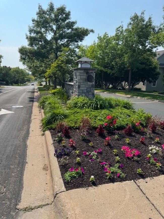 Landscaping Feels Like Florida | Image 44
