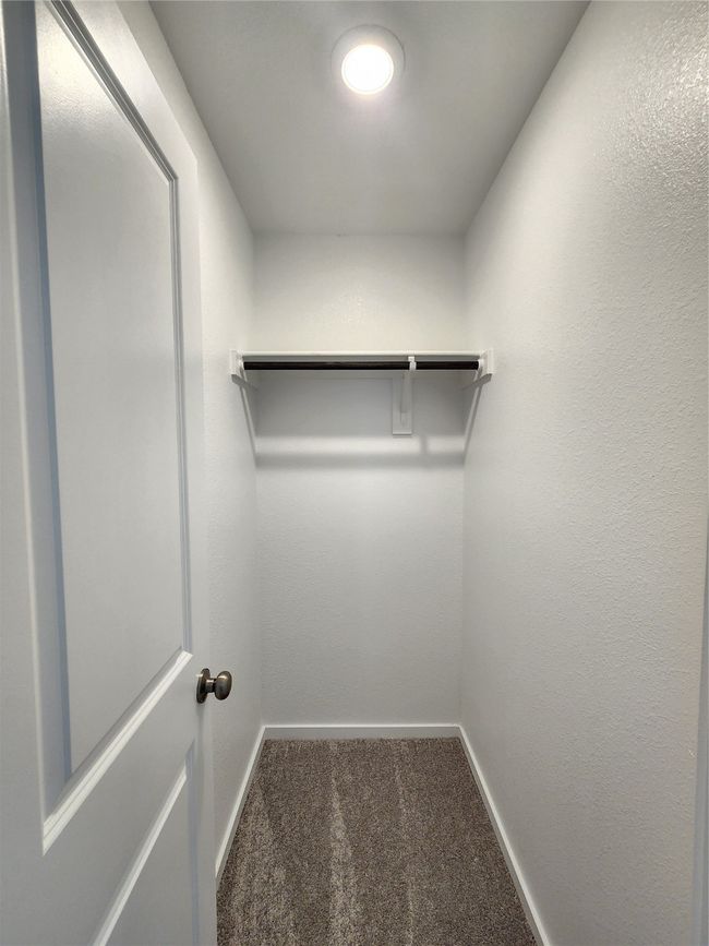 Walk in closet with carpet floors | Image 6