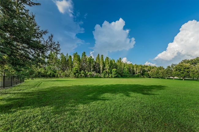 1236 Ketzal Dr, House other with 5 bedrooms, 3 bathrooms and null parking in TRINITY FL | Image 45