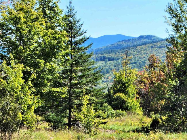 PARCEL-3 - 0 Us Route 2, Home with 0 bedrooms, 0 bathrooms and null parking in Lunenburg VT | Image 24
