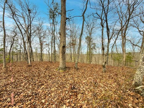 L156&157 Harris Creek Dr, Ellijay, GA, 30540 | Card Image