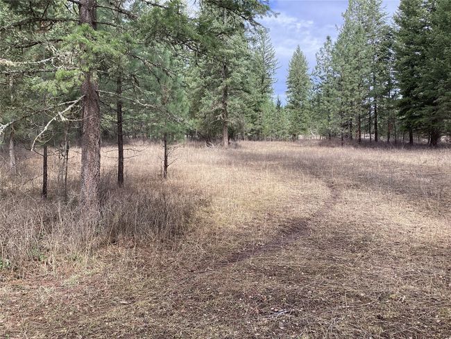 1 Eagle Pass Road, Home with 0 bedrooms, 0 bathrooms and null parking in Charlo MT | Image 31