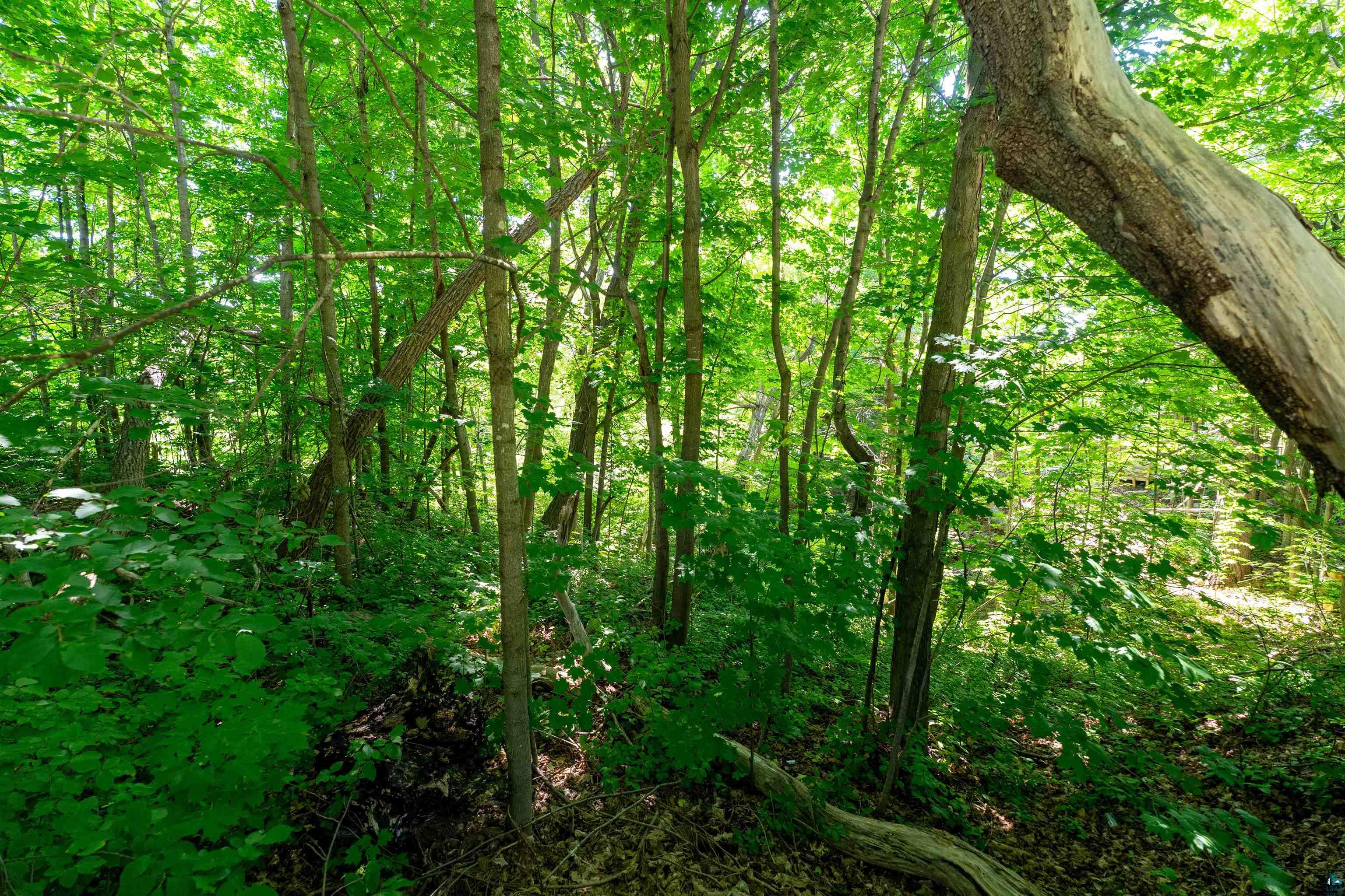 Land in Bayfield