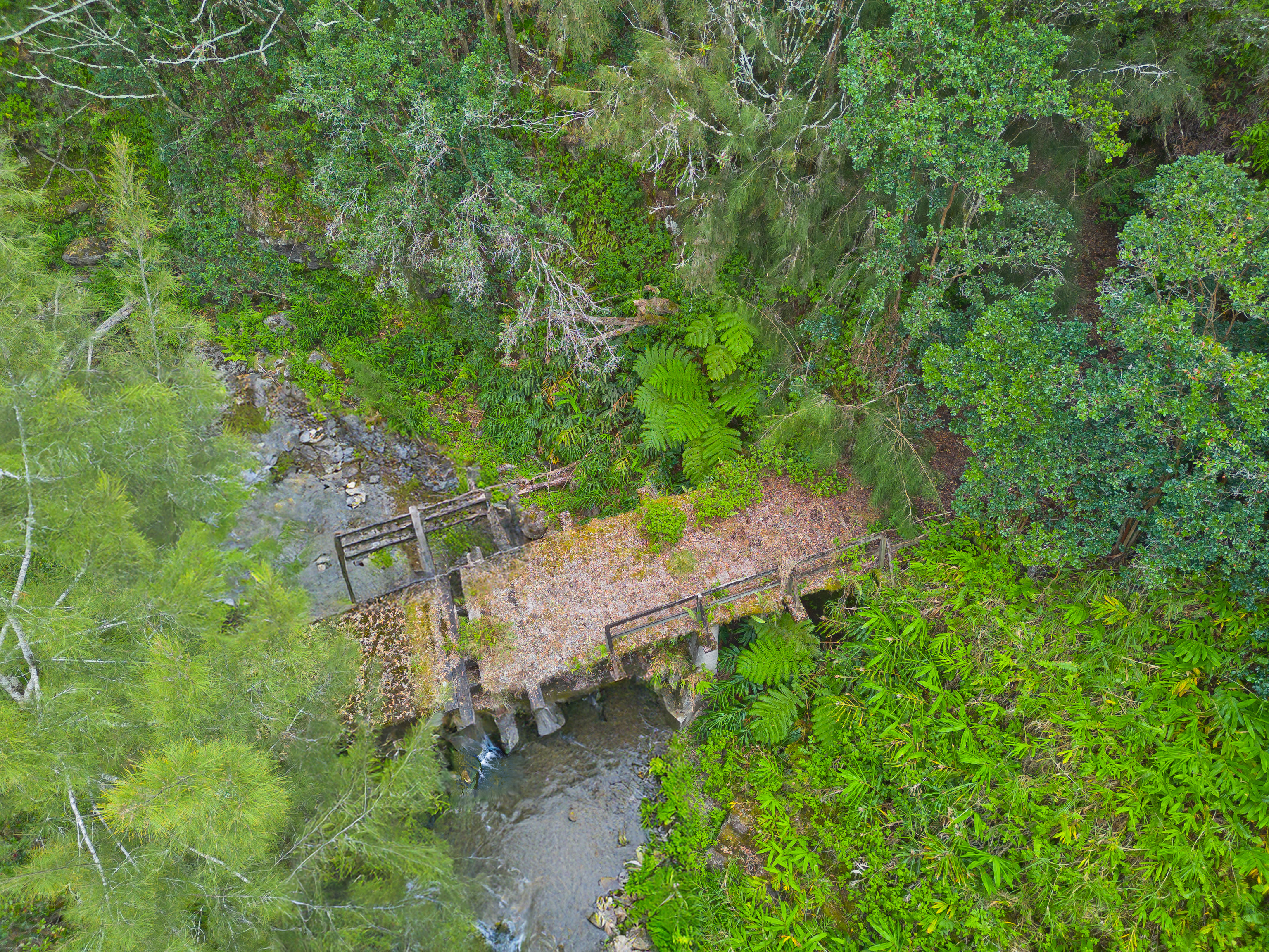 Land in Ookala 3