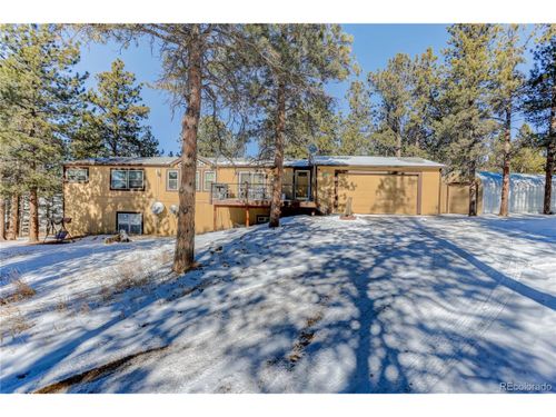 13264 Mollie Kathleen Rd, Florissant, CO, 80816 | Card Image