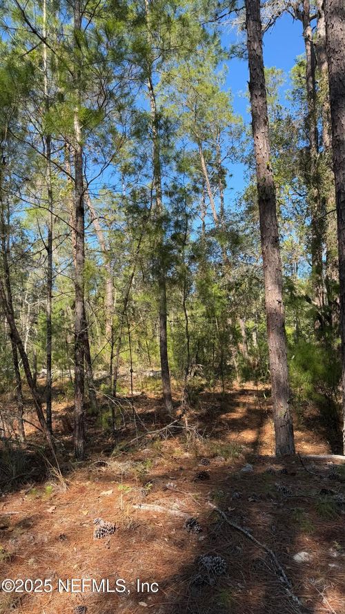 206 Utah St, SATSUMA, FL, 32189 | Card Image