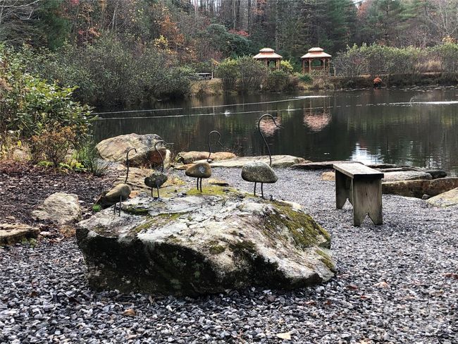 The Pond at Deer Run | Image 40