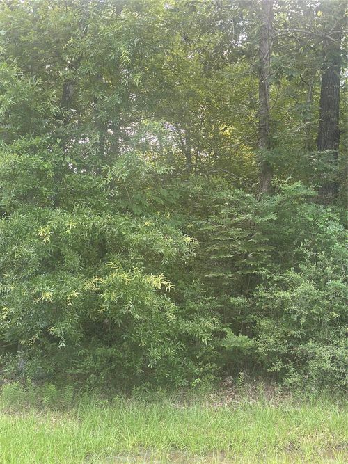 TBD Knottypine, Livingston, TX, 77351 | Card Image