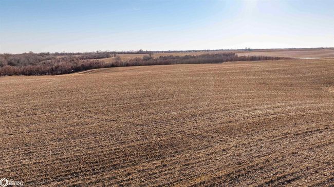 26043 Nuthatch Ave, Home with 0 bedrooms, 0 bathrooms and null parking in Bloomfield IA | Image 24