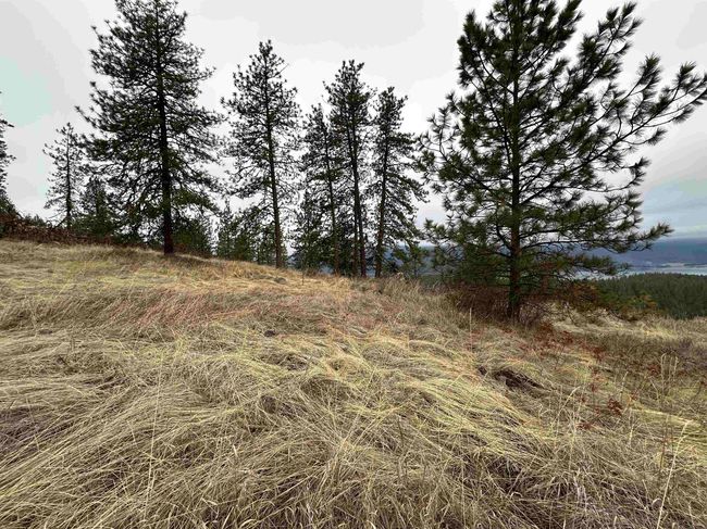 3312X Daisy Mine Rd, Home with 0 bedrooms, 0 bathrooms and null parking in Rice WA | Image 18