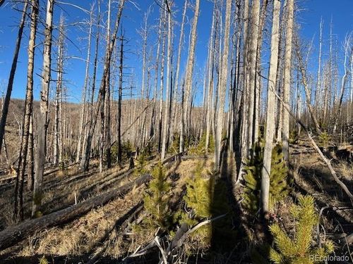 1502 Von Heyl Ln, Fort Garland, CO, 81133 | Card Image