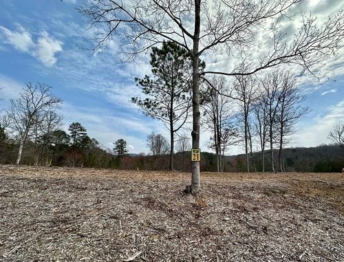 21 Arbor Creek Trl, Mineral Bluff, GA, 30559 | Card Image