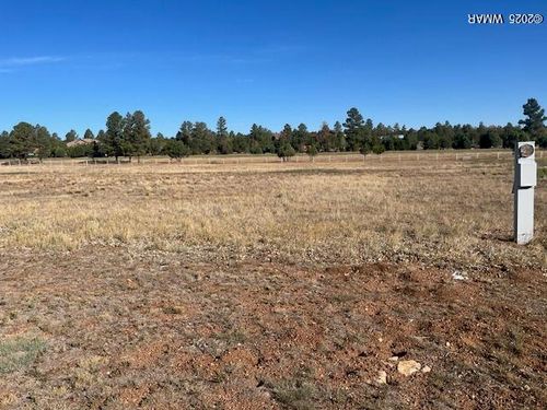 2310 Quarter Horse Trl, Overgaard, AZ, 85933-5319 | Card Image