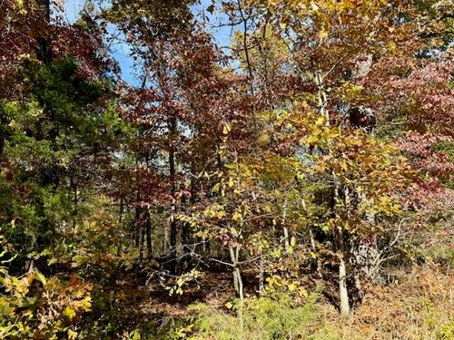 000 Private Road 5-200, Gainesville, MO, 65655 | Card Image