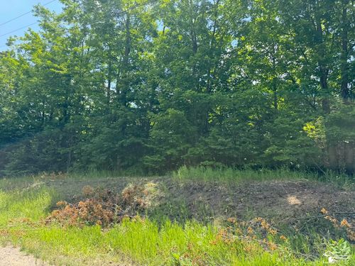 000 Hayes Tower Rd, Gaylord, MI, 49735 | Card Image