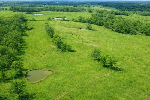 000 P Highway, Koshkonong, MO, 65692 | Card Image