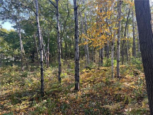 Lot 1 Pet Road, Beaver Brook Twp, WI, 54801 | Card Image