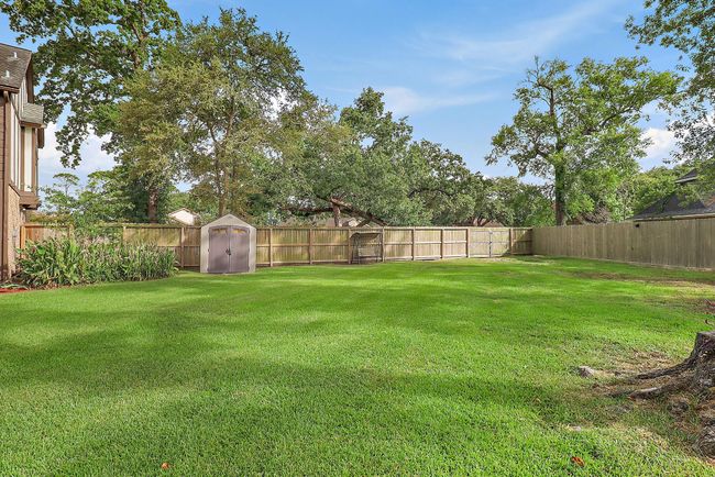 backyard | Image 40