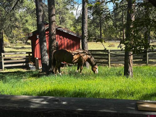 513 W Log Hill Rd, Pagosa Springs, CO, 81147-7407 | Card Image