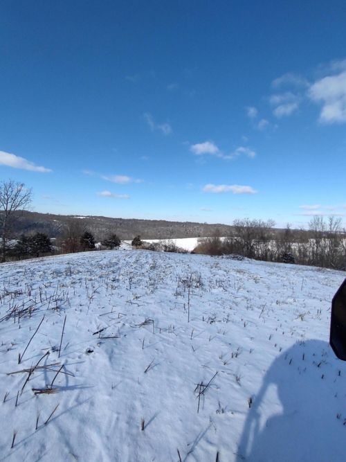 1A Crooked Creek Rd, Carlisle, KY, 40311 | Card Image