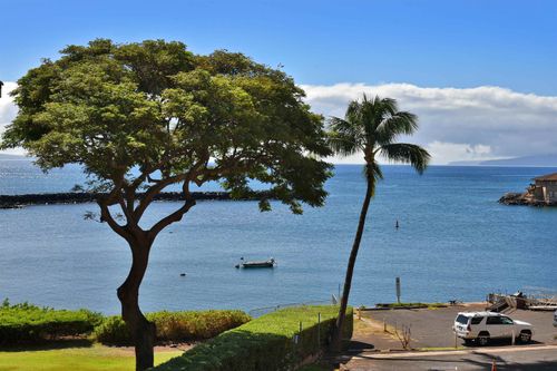 apt-305-20 Hauoli St, Wailuku, HI, 96793-9504 | Card Image