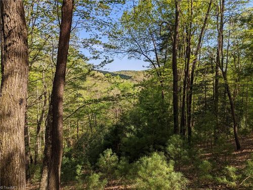lot-94-TBD Sutters Ridge Rd, Mc Grady, NC, 28649 | Card Image