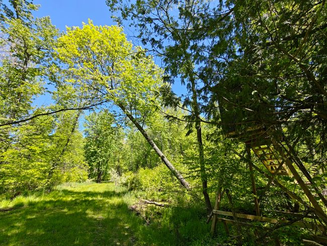 10830 3 Mile Rd, Home with 0 bedrooms, 0 bathrooms and null parking in Branch MI | Image 9