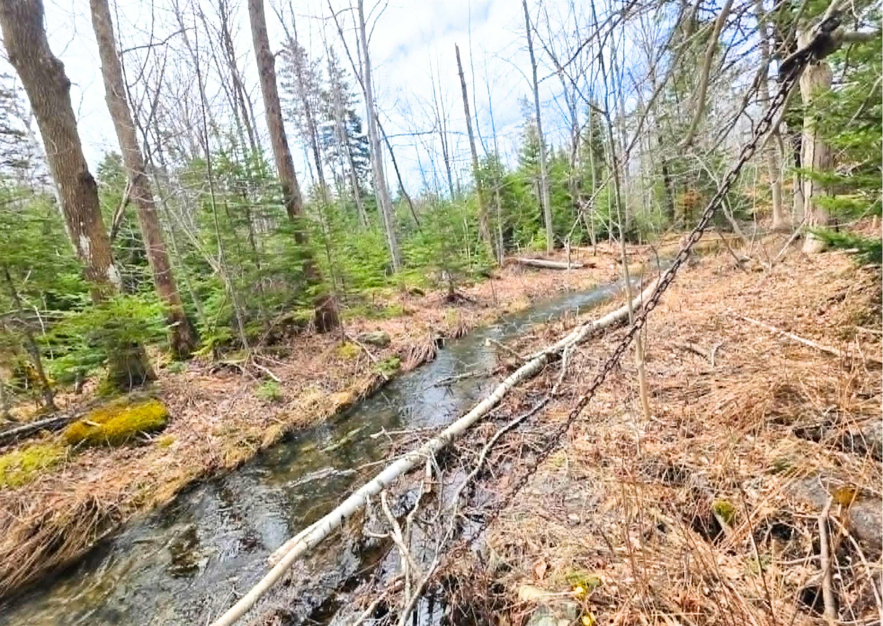Land in Cape Breton 5