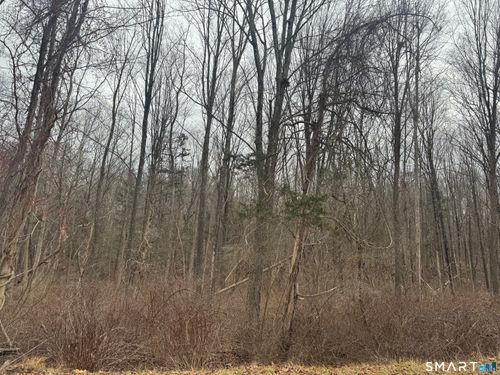 0 Bell St, Middletown, CT, 06457 | Card Image