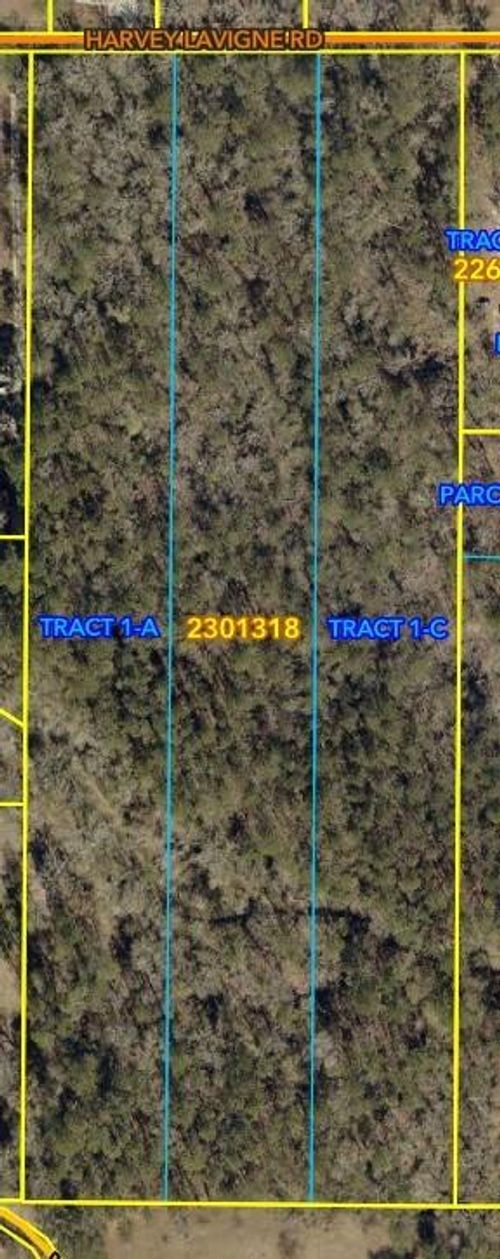 TBD Harvey Lavigne Rd, Ponchatoula, LA, 70454 | Card Image