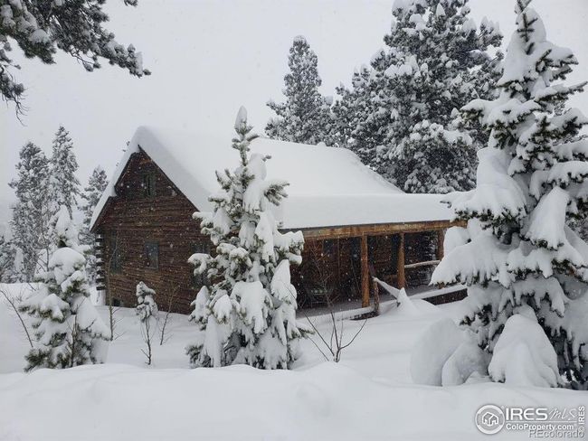 620 County Road 90, House other with 2 bedrooms, 1 bathrooms and null parking in Allenspark CO | Image 27