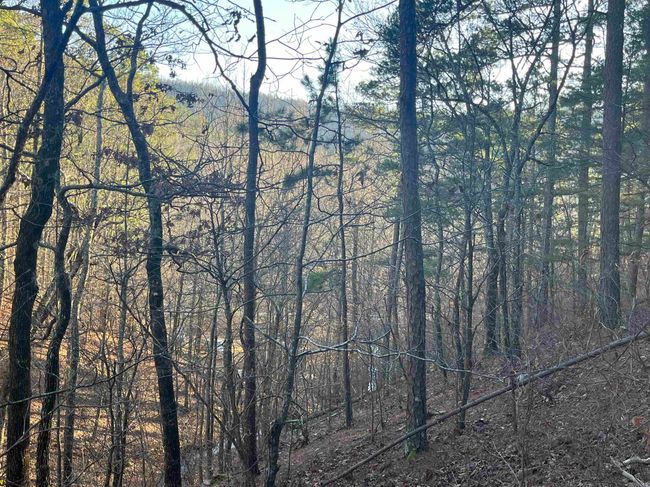 1071 Highway 375 E, Home with 0 bedrooms, 0 bathrooms and null parking in Mena AR | Image 5
