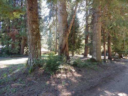 356 M Lane, Prospect, OR, 97536 | Card Image