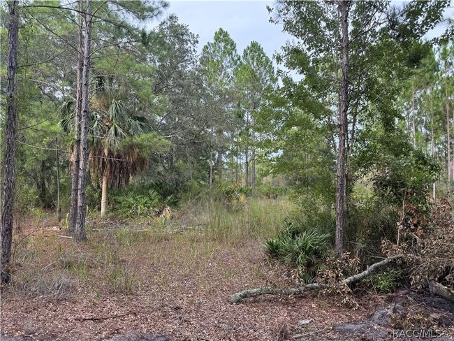 00 Sw 103 Rd Ct, Home with 0 bedrooms, 0 bathrooms and null parking in Cedar Key FL | Image 6