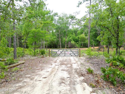TBD Ne Lowery Acres Rd, Hosford, FL, 32334 | Card Image
