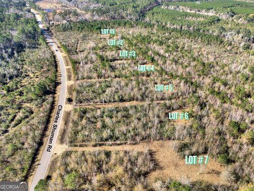 LOT 6 Charles Shuman Rd, Pembroke, GA, 31321-7135 | Card Image