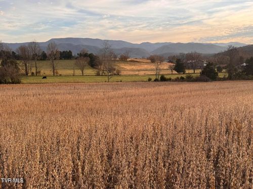 5-Ac Pleasant Hill Rd, Chuckey, TN, 37641-6436 | Card Image