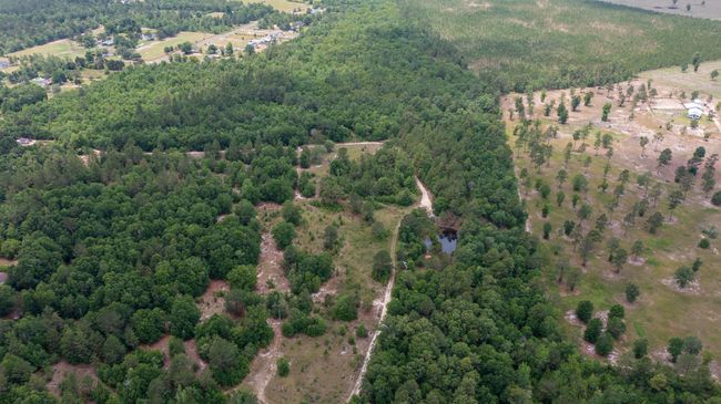 1327 Charlies Loop, Home with 0 bedrooms, 0 bathrooms and null parking in Williston SC | Image 7