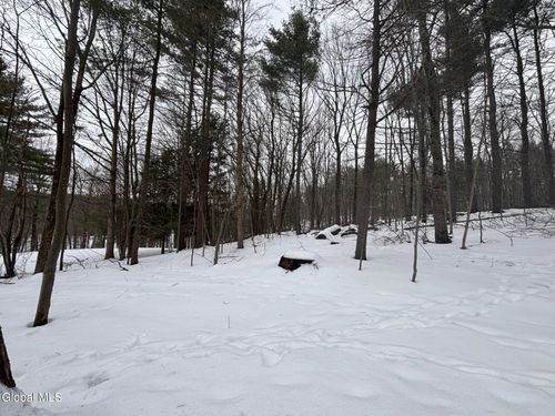 L1.22 Stuffle St, Cropseyville, NY, 12052-2615 | Card Image