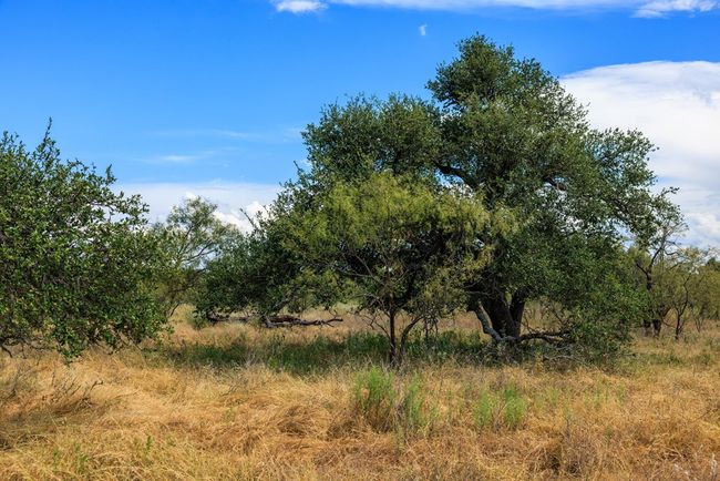 6 - 0 Ranch Road 1323, Home with 0 bedrooms, 0 bathrooms and null parking in Willow City TX | Image 17
