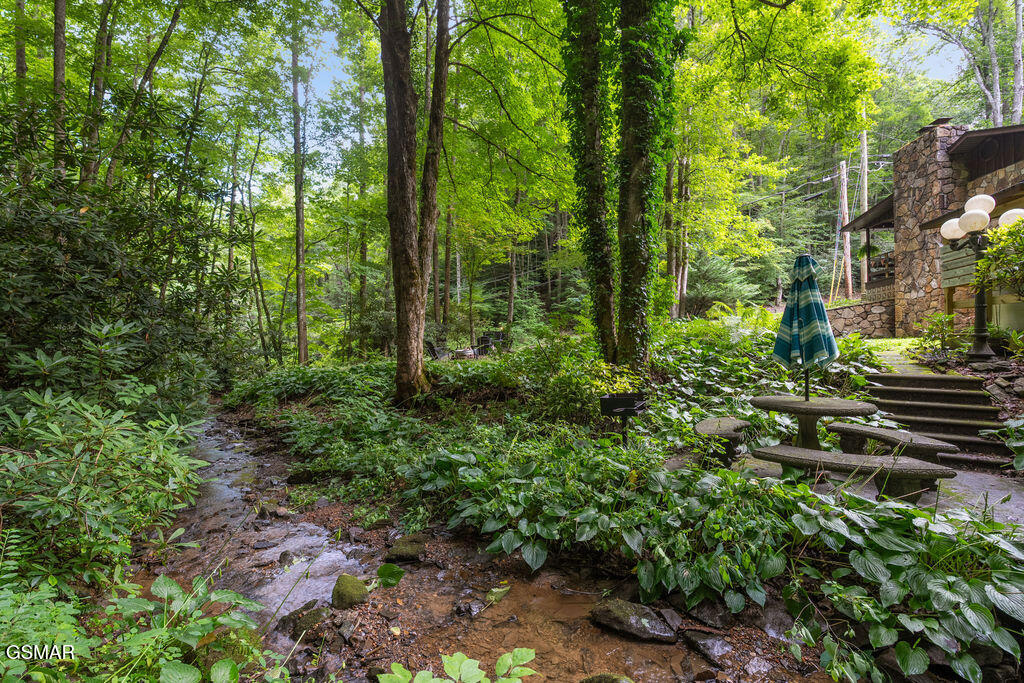Residential in Gatlinburg 4
