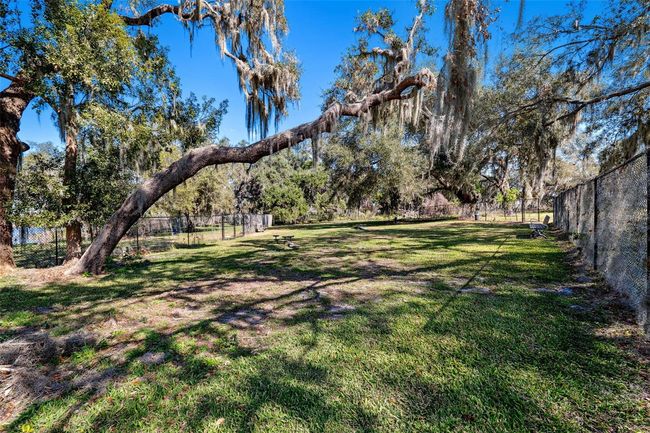 9804 Rowing Dale Bnd, House other with 4 bedrooms, 3 bathrooms and null parking in WESLEY CHAPEL FL | Image 72