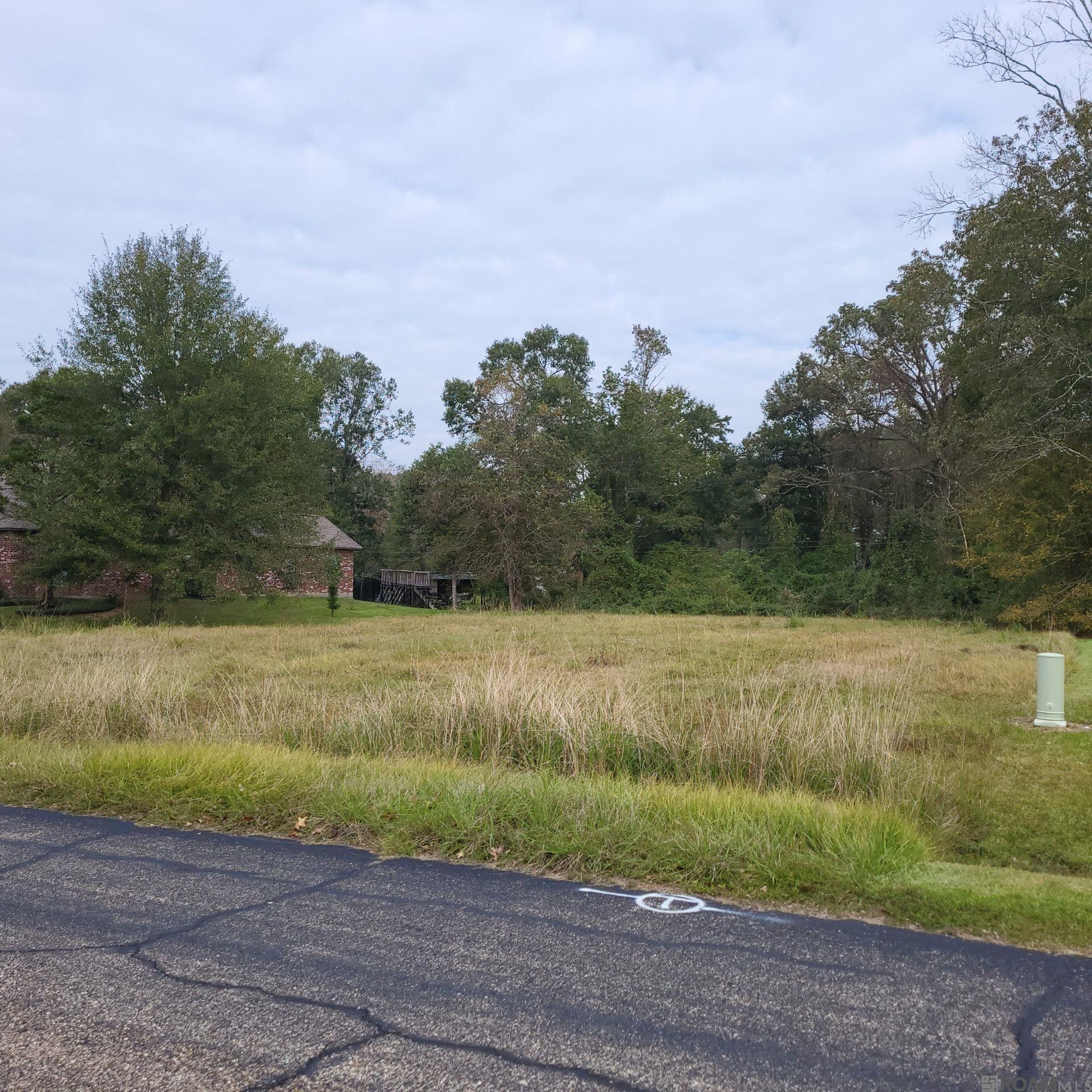Land in Baton Rouge 3