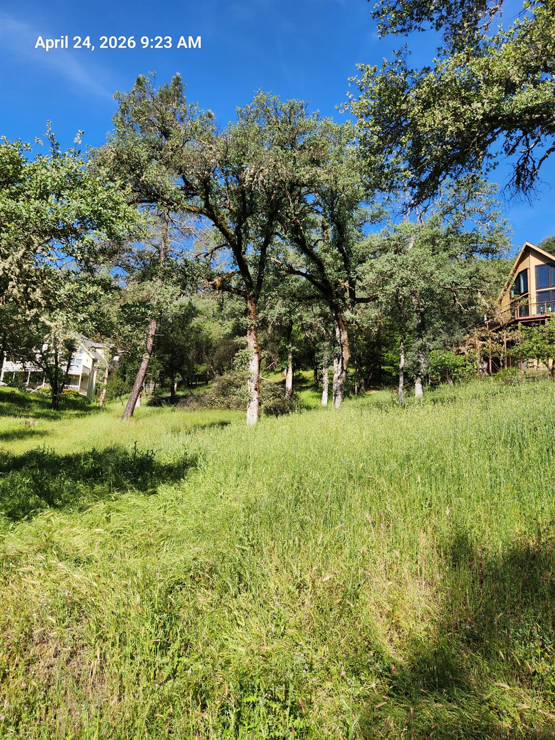 Land in Grass Valley