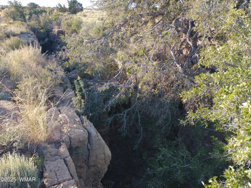 Lot 682 Chevelon Canyon Ranch, Heber, AZ, 85928 | Card Image