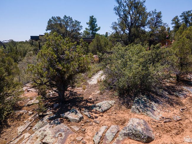 View of nature | Image 11