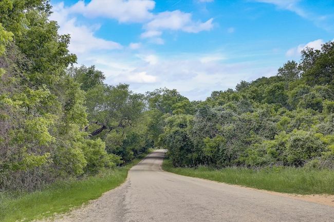 View of road featuring a view of trees | Image 21