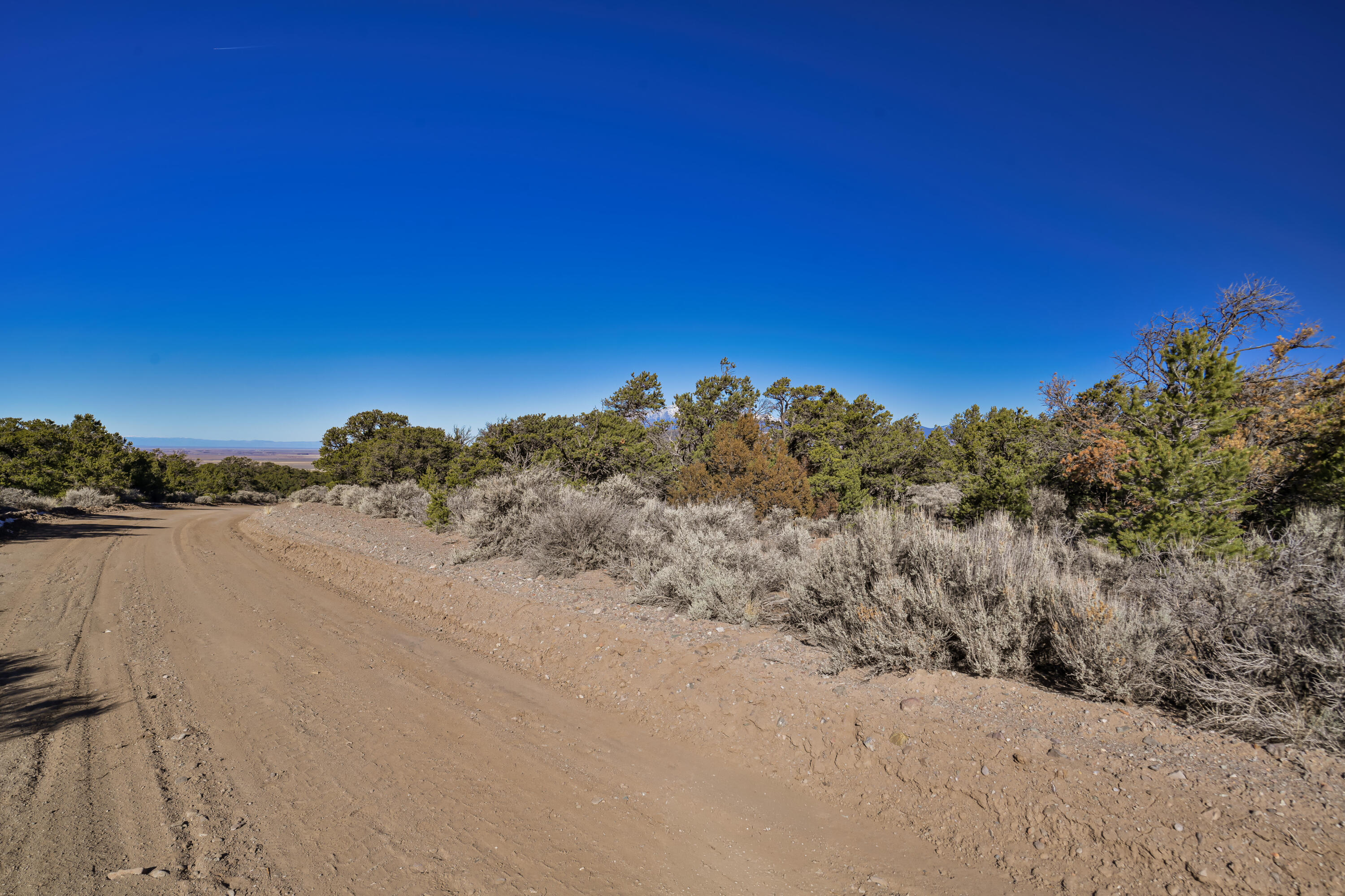 Land in Ft. Garland 4