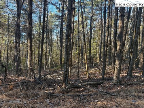 24 Eagles Nest Lane, Glade Valley, NC, 28627 | Card Image