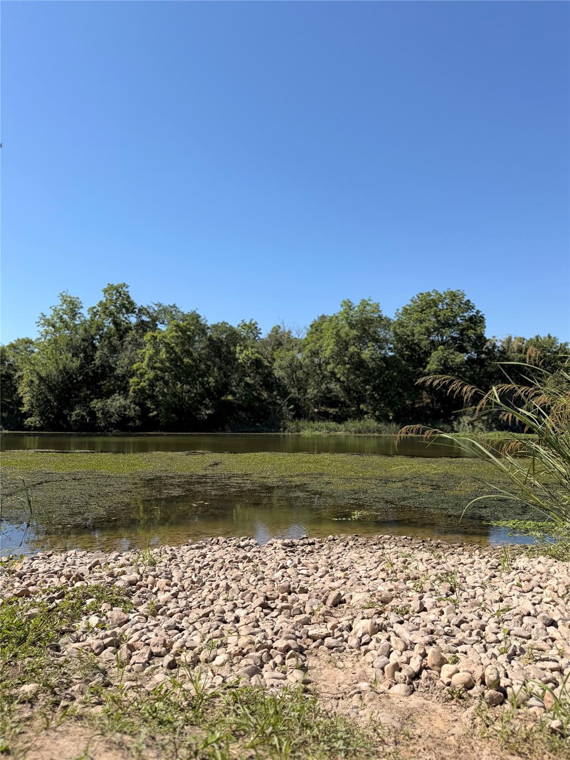 Land in Austin 3
